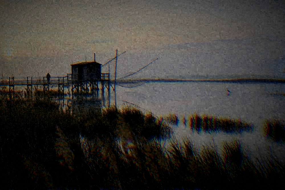 Birdwatching, 40 Species Guaranteed, Ravenna