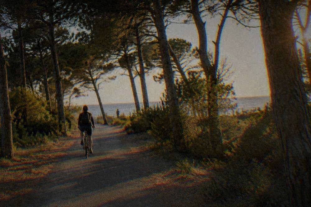 A cyclist riding a flat lane through a Mediterranean pine wood towards the sea