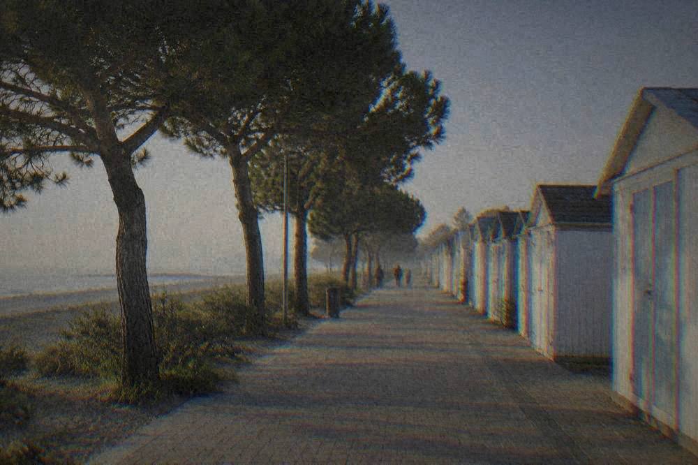 A paved promenade lined with low pine trees beside a line of beach cabins