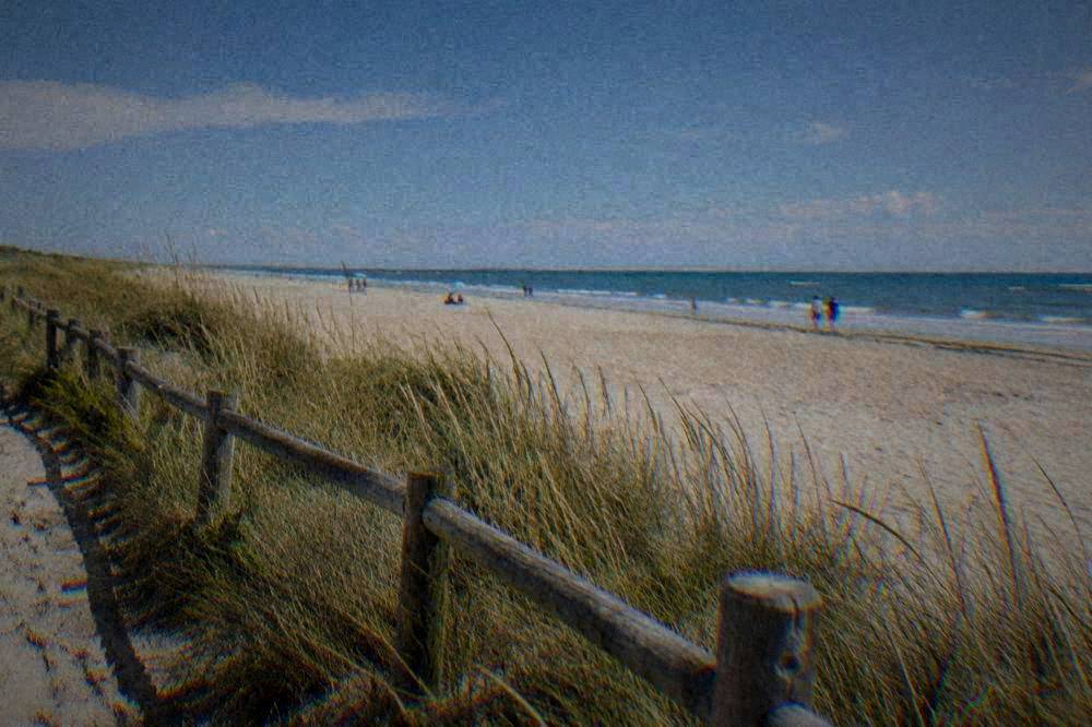 Low wooden fencing and marram grass along the edge of a wide sandy beach