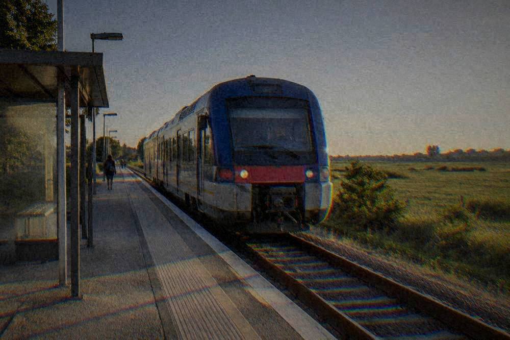 A regional train waiting at a small single-platform station beside flat green fields