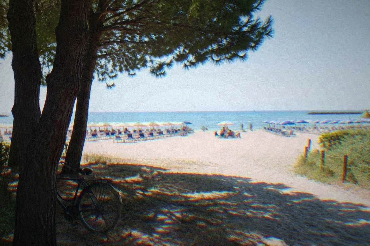 Sunlit beach with rows of umbrellas and a calm sea at an Italian seaside resort town