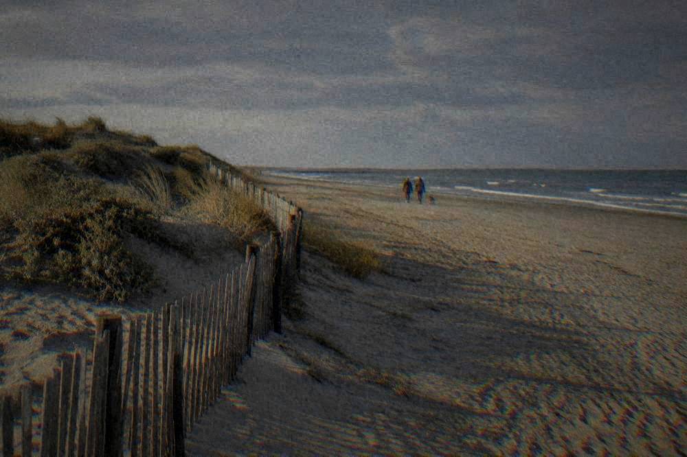 Wide sandy beach with a low protective sand dune and wooden fencing under a grey sky