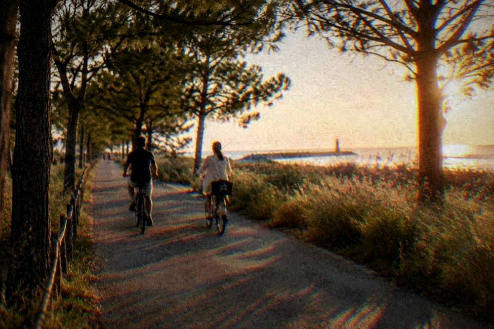 Couple with bicycles riding a flat tree-lined path toward the coast
