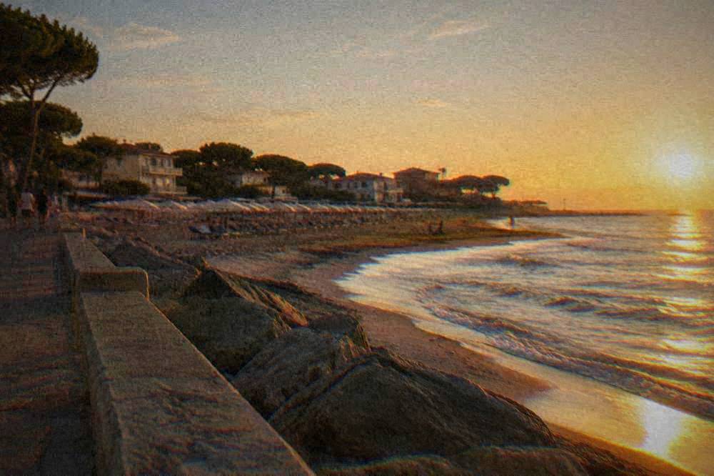 A seaside promenade with parasols, low buildings and pine trees behind a sandy shore