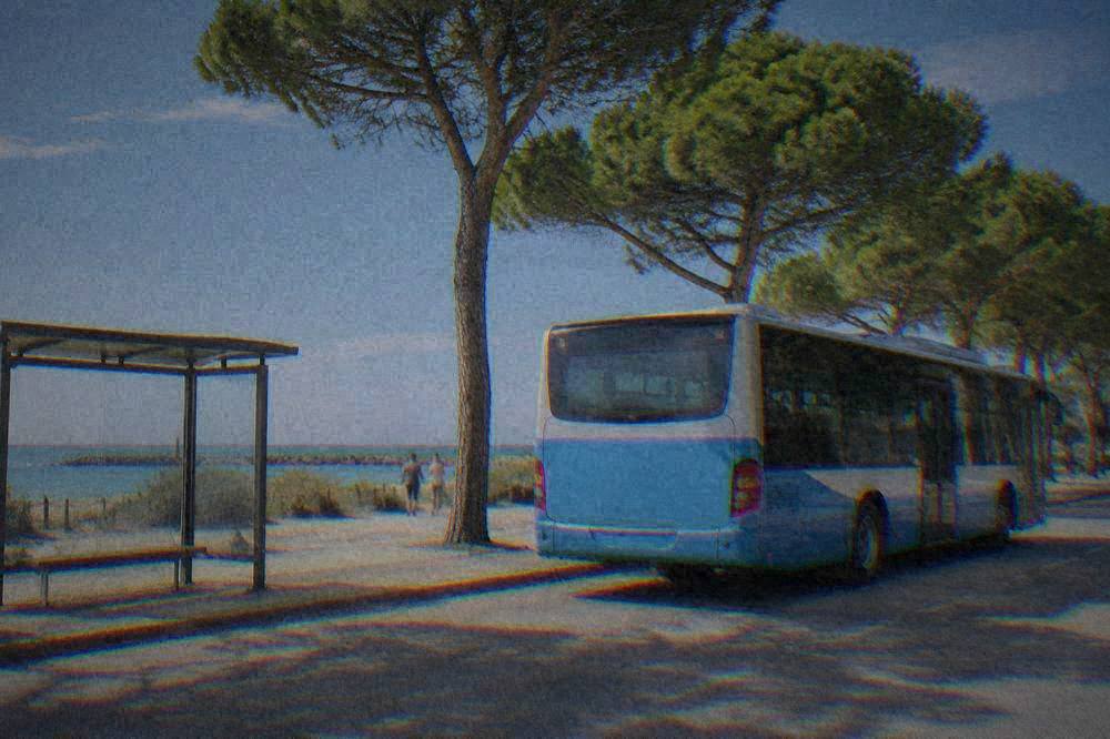 A regional bus parked at a seaside stop with pine trees behind it