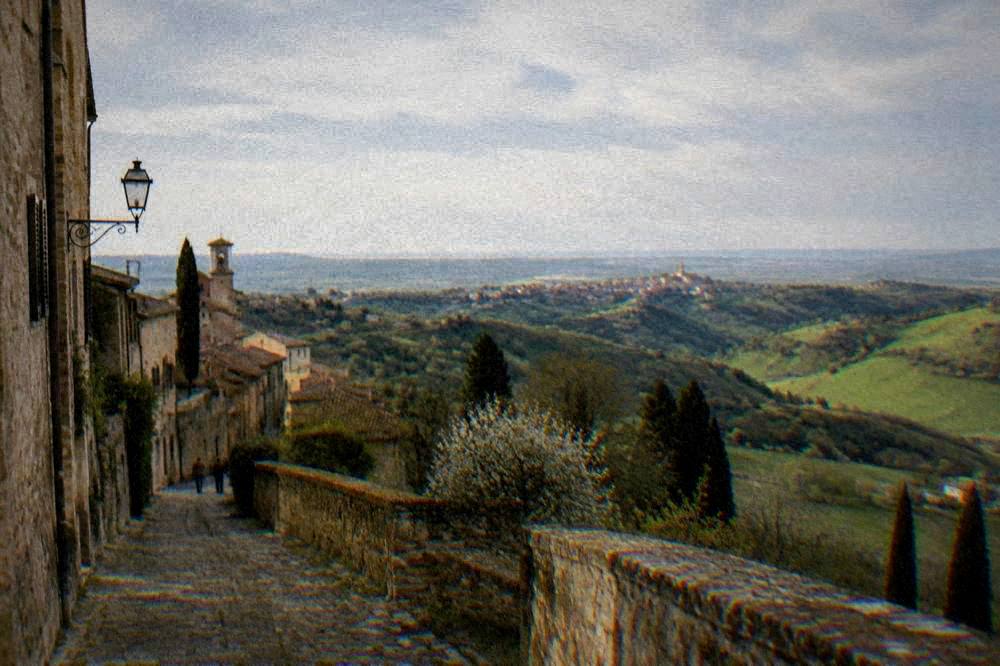 Olive groves on terraced slopes rising towards a hill town in soft light