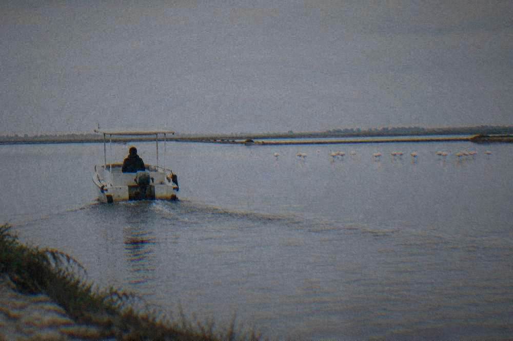 An electric boat gliding across shallow salt-pan water towards distant flamingos