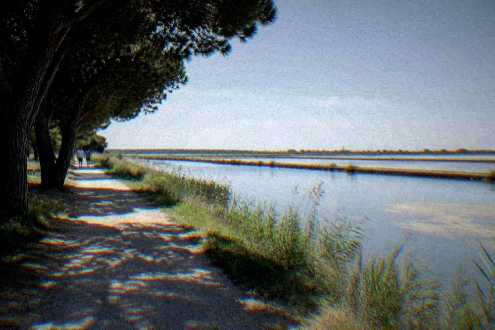 A flat path beside shallow salt-pan water with reeds and open sky at Cervia