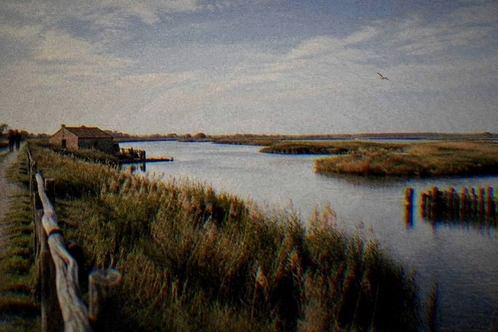 Aerial view of the flat Po Delta wetlands with channels and reed beds near Ravenna