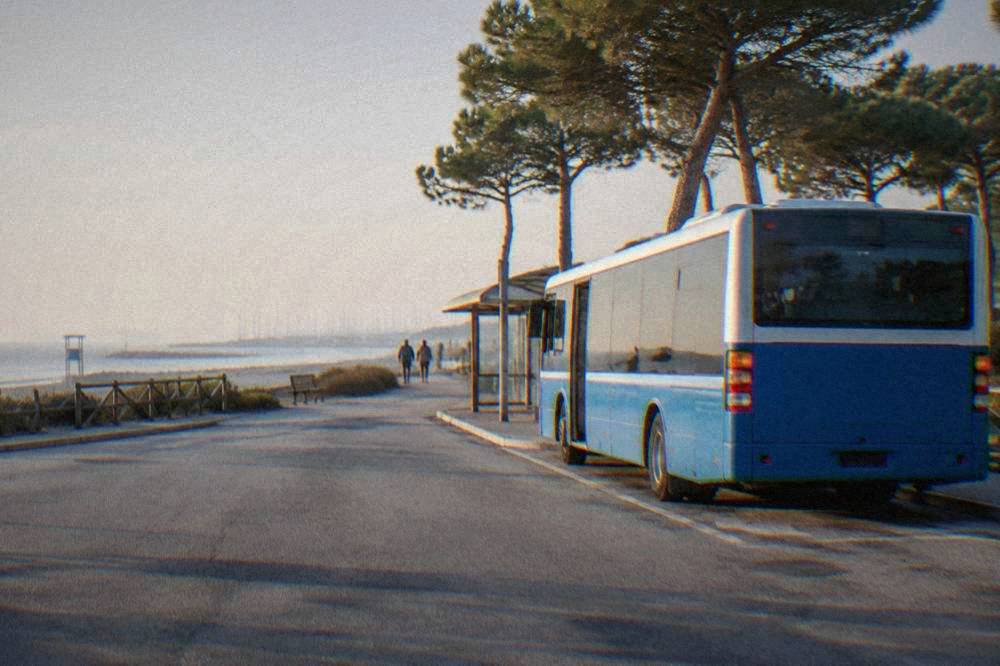 Regional bus parked at a small seaside resort stop with pine trees behind