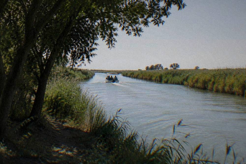 A boat channel through reed beds in a lagoon landscape near Ravenna