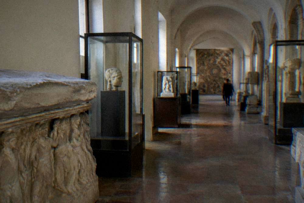 Quiet museum corridor with glass cases and stone artefacts