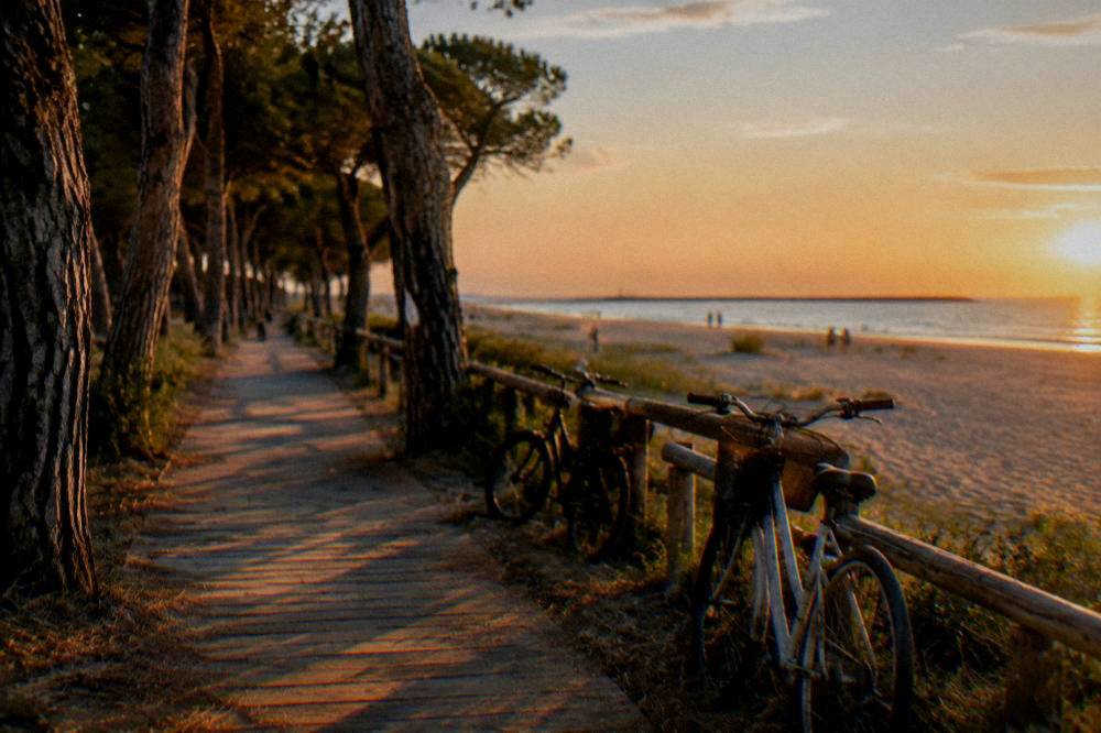 A pinewood path behind a sandy Adriatic shore with bicycles parked beside it