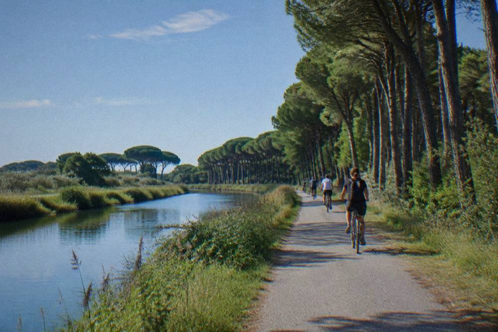 Cyclists riding a flat tree-lined path beside a canal toward pine woods