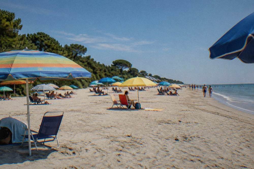 Colourful beach umbrellas on a wide sandy Adriatic beach with a pinewood behind