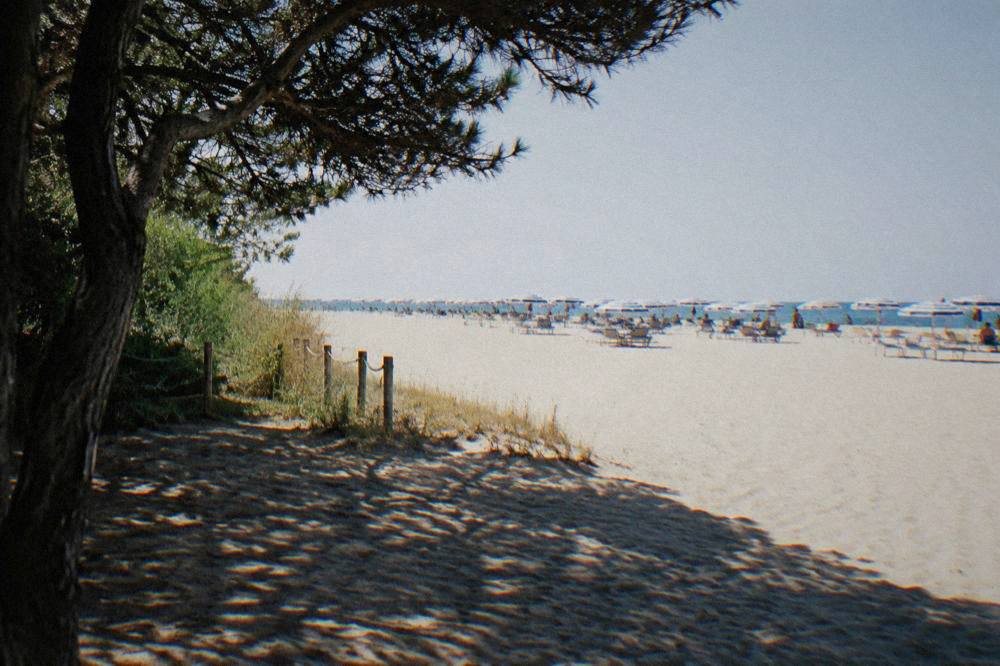 Row of beach umbrellas on a wide sandy shore under a clear sky