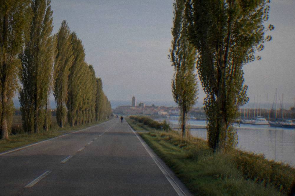 Flat poplar-lined road leading toward distant seaside rooftops