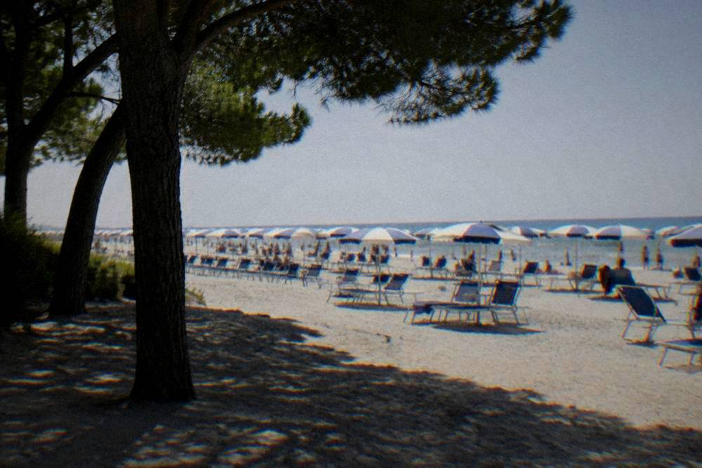Rows of umbrellas on a wide sandy Adriatic beach at Marina di Ravenna