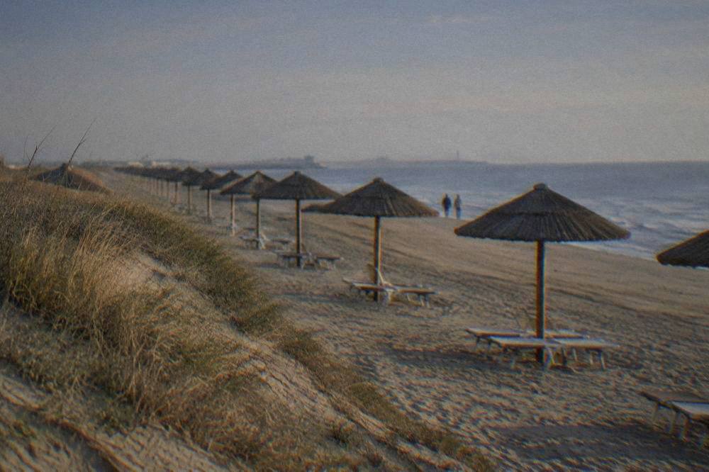 A sandy Adriatic beach with a line of parasols and a low winter sand dune